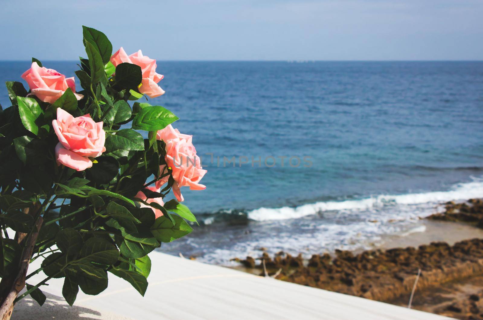 Pink roses on a balcony against a beach scene background with blue sky