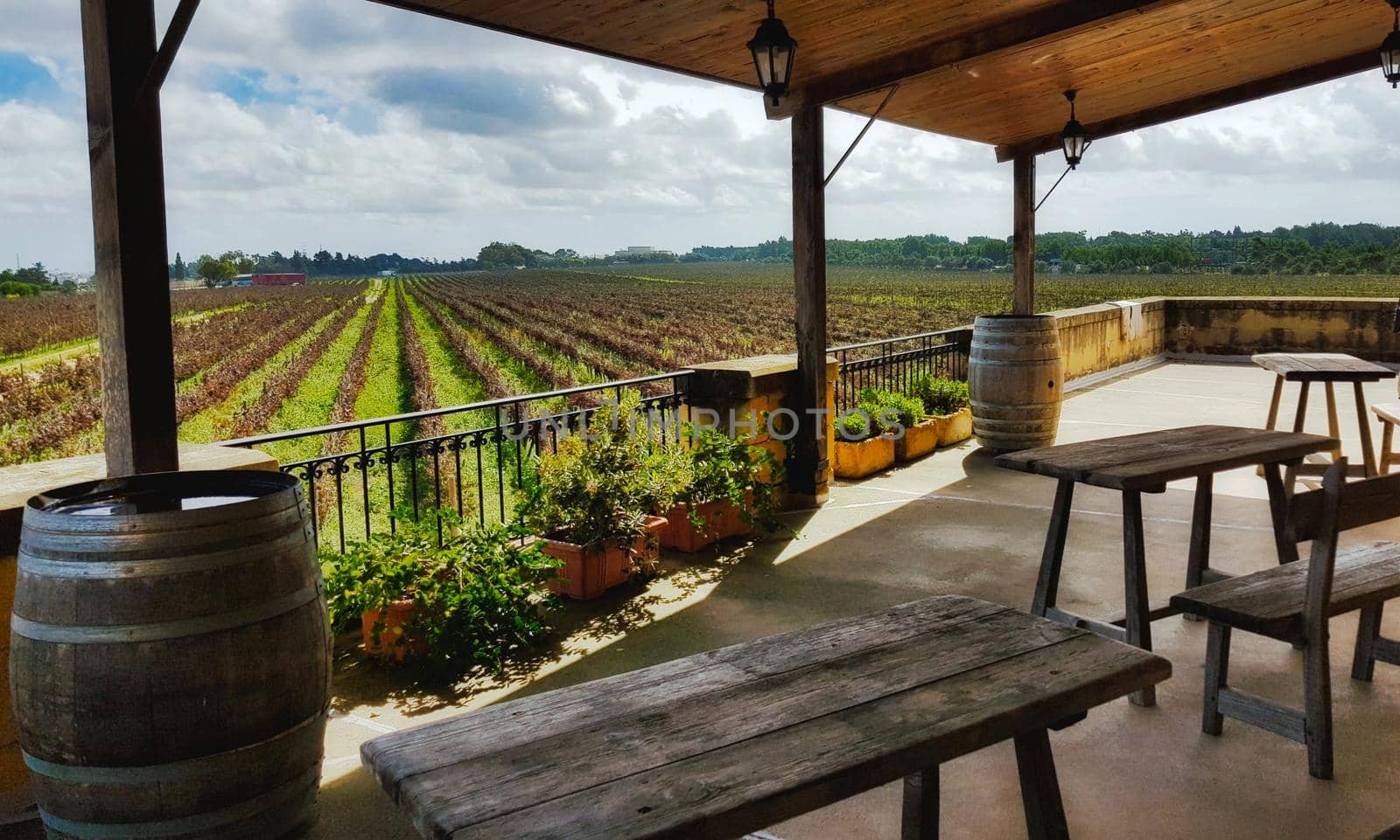 A view of rows of vines in a vineyard from a villa balcony with wooden tables and chairs