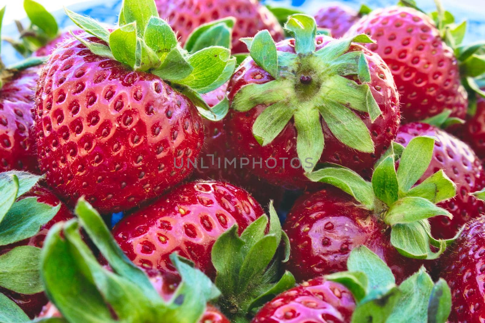 Close-up of fresh ripe strawberries