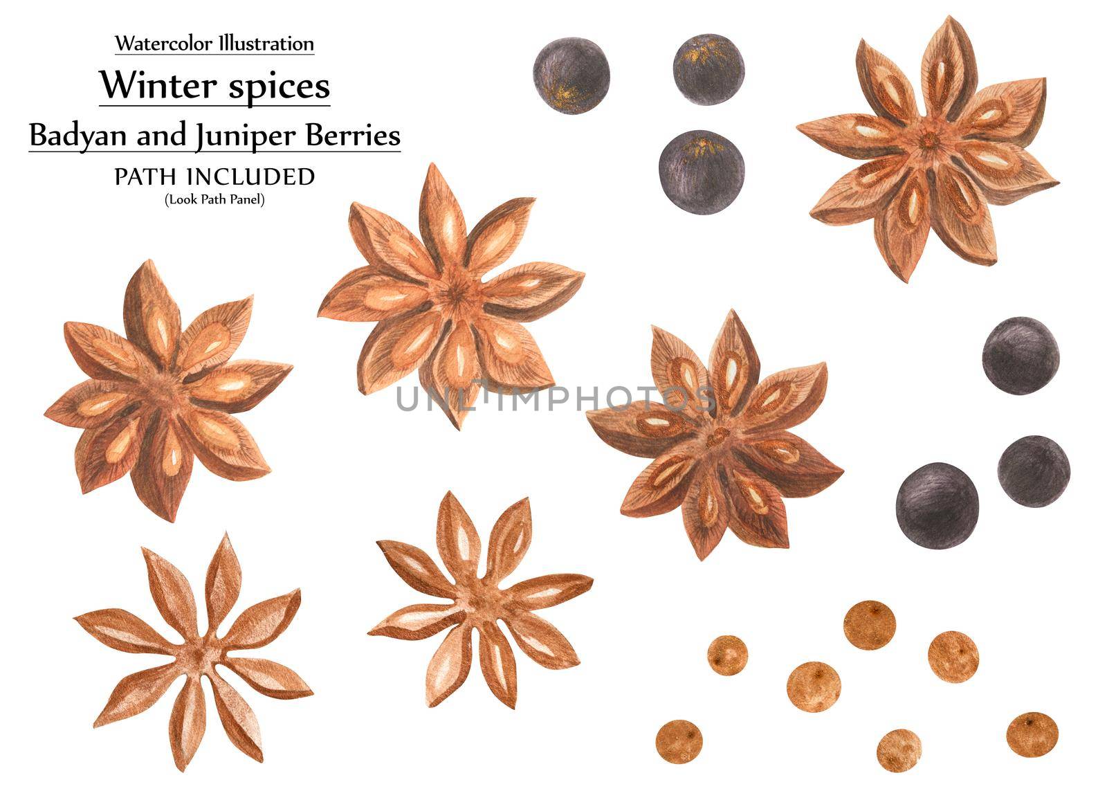 Winter spices decorative watercolor set, pepper and badyan by Xeniasnowstorm