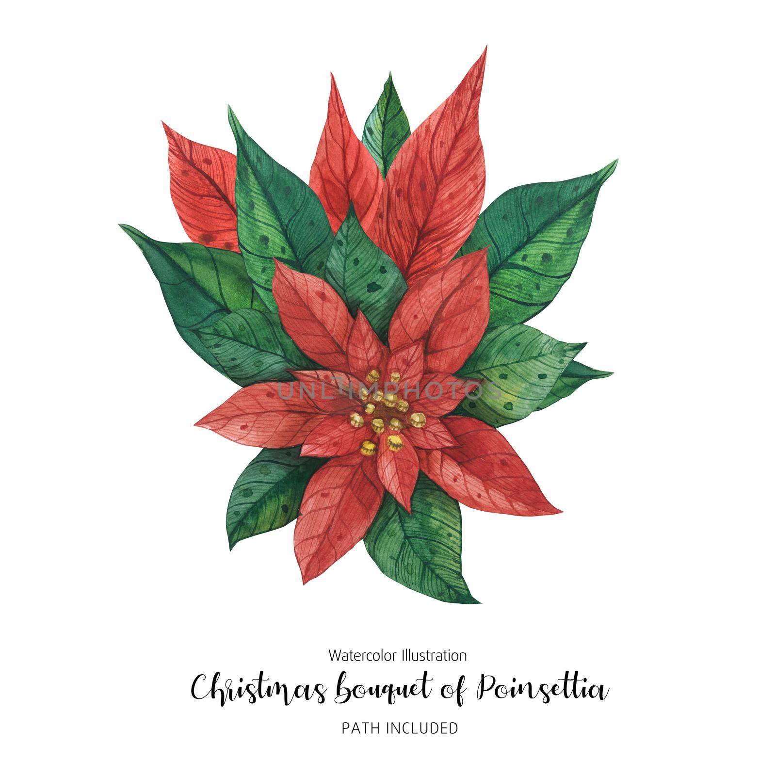 Poinsettia Christmas Floral Bouquet, watercolor hand-made illustration