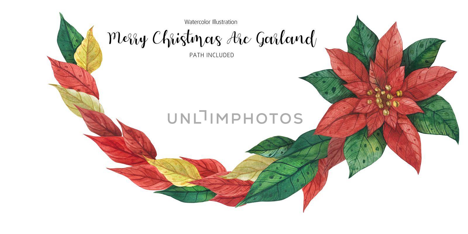 Christmas Poinsettia Garland, decorative floral arc, isolated and path included