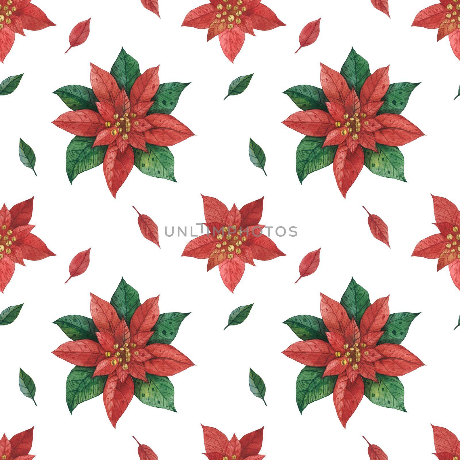 Christmas Star Poinsettia pattern, watercolor illustration, path included