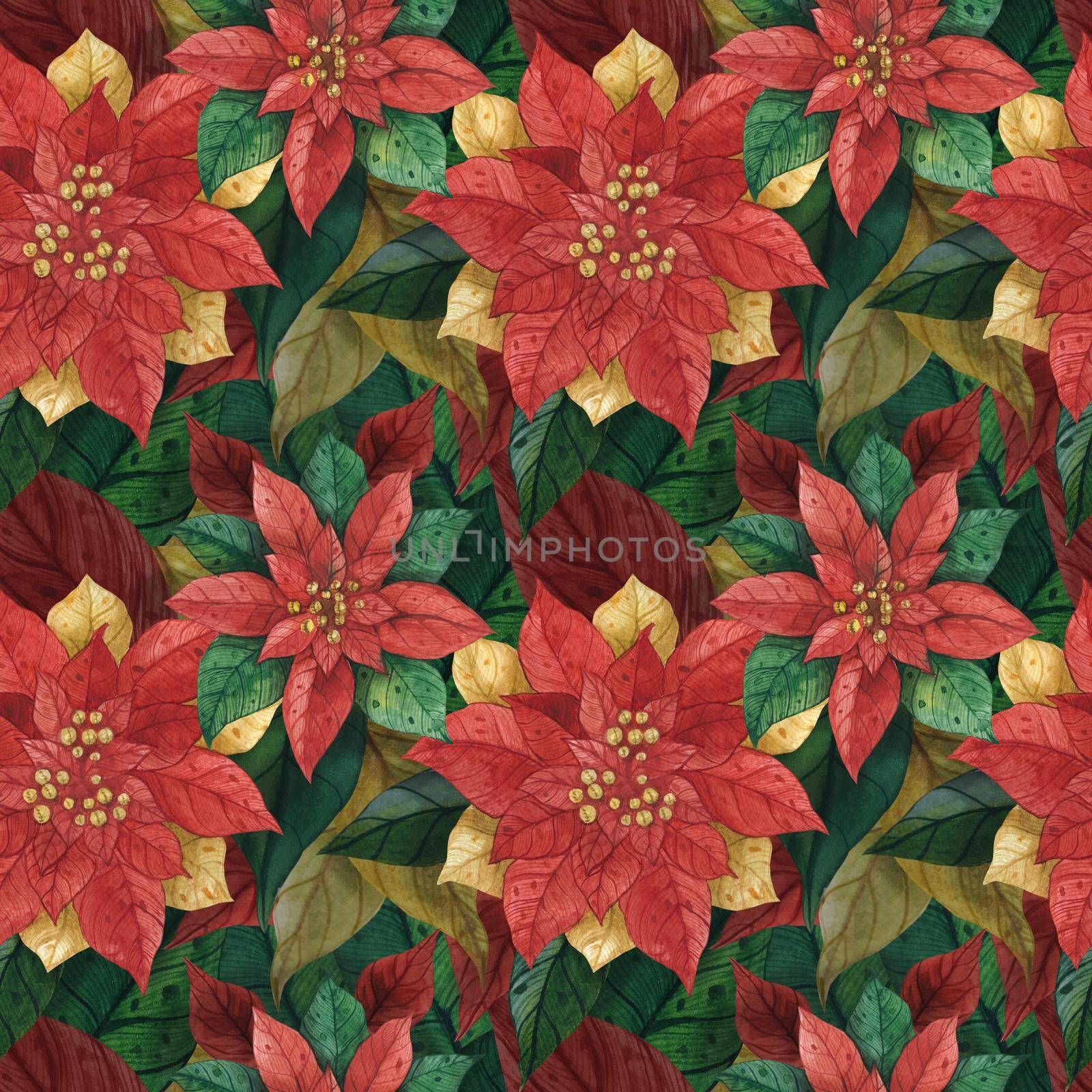 Christmas Star Poinsettia, watercolor seamless pattern, path included