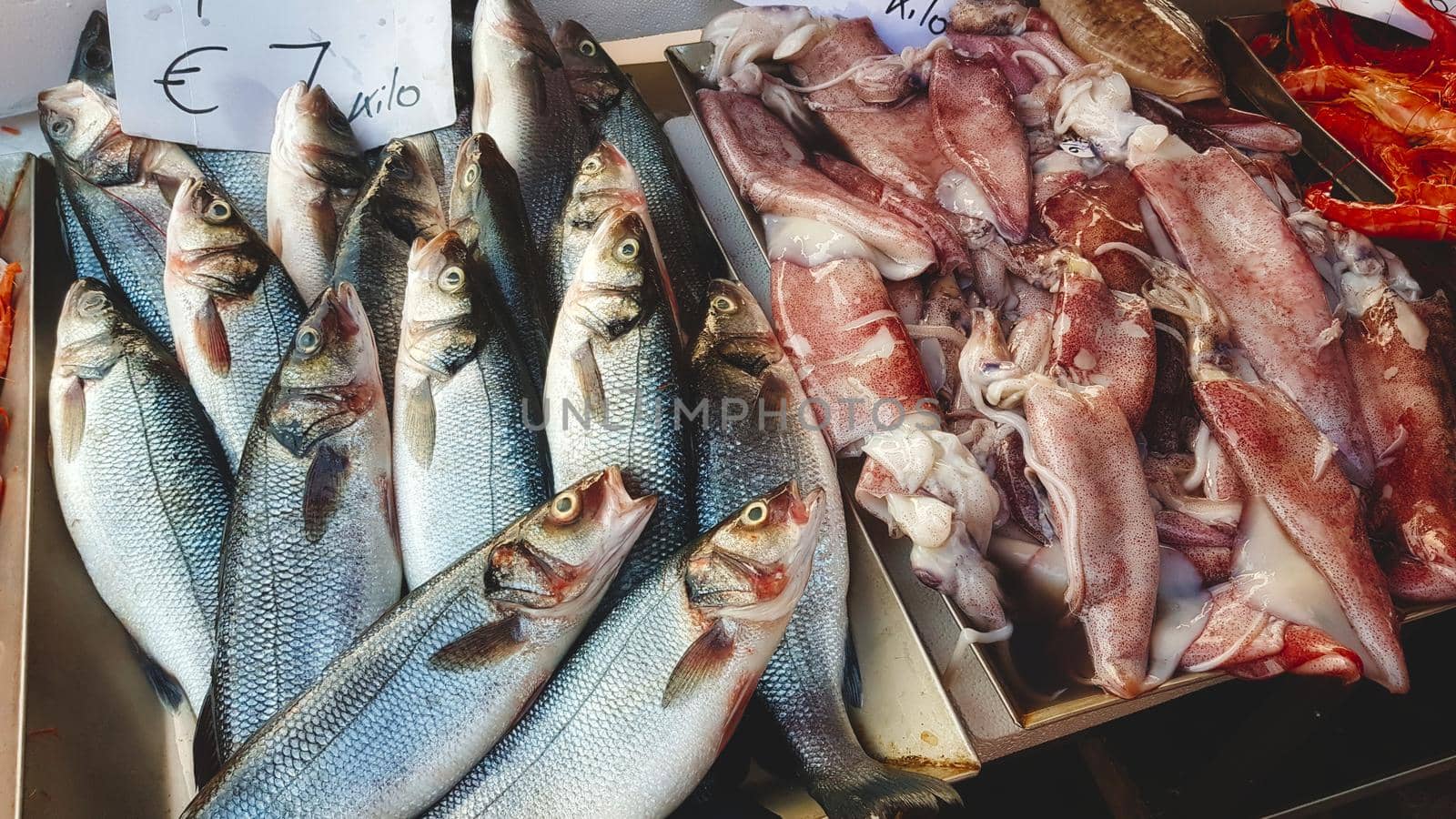 Fish and squid for sale at a seafood fishmonger's open-air market stall