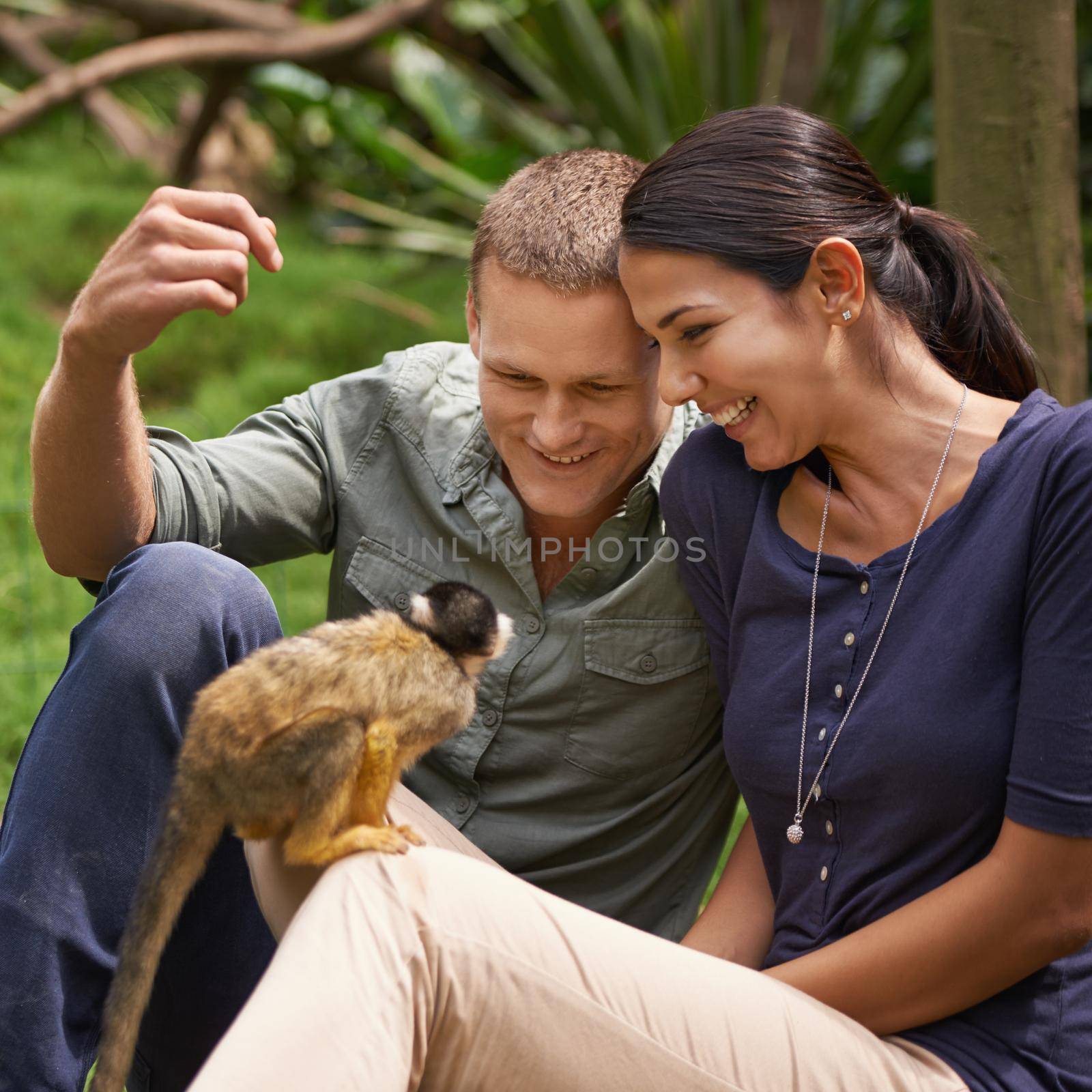 Cropped shot of a young couple spending time at an animal sanctuary.