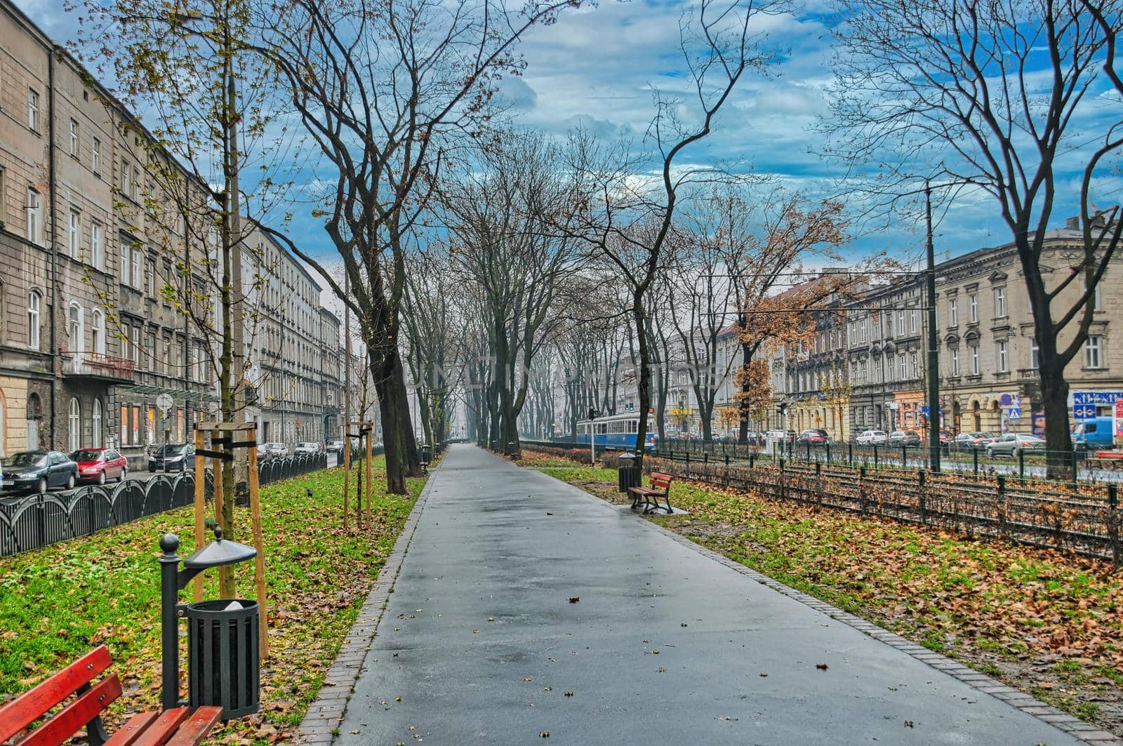 Footpath in park in Krakow by feelmytravel