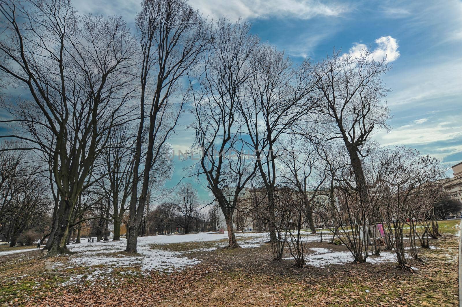 Park, garden in Warsaw of Poland with snow during the winter