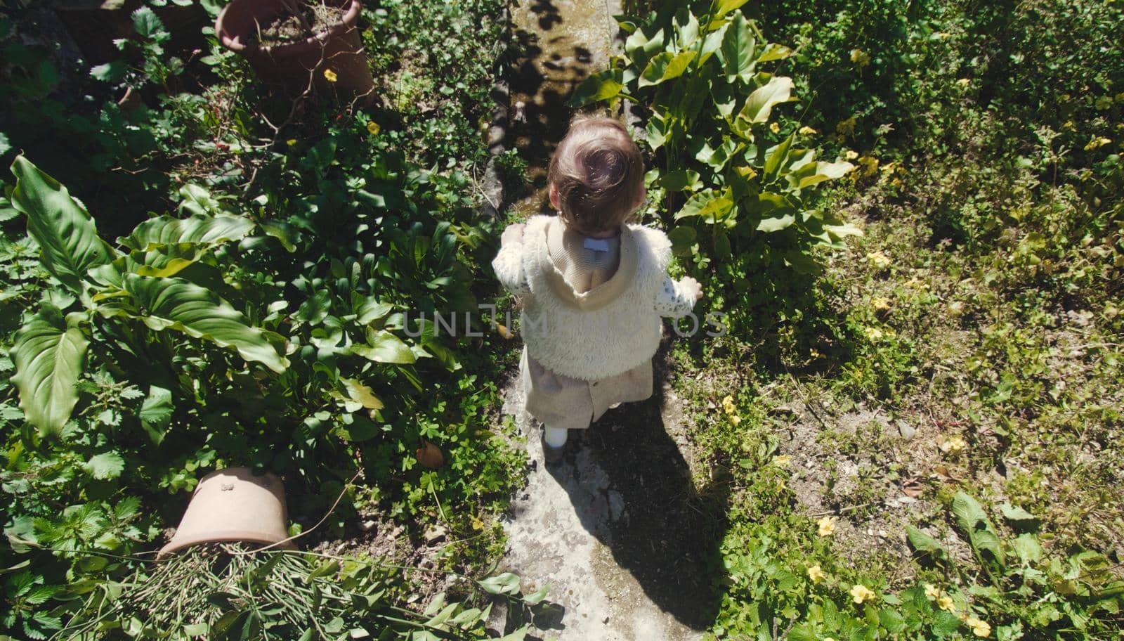 Baby girl walking down an overgrown garden path