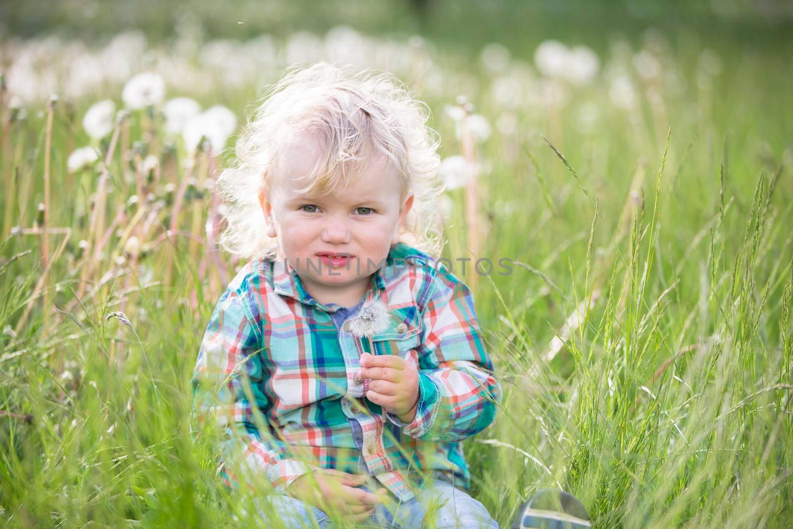The holiday of childhood.Blond little boy with a dandelion. One year old baby is sitting in the grass. Child in the meadow by Sviatlana
