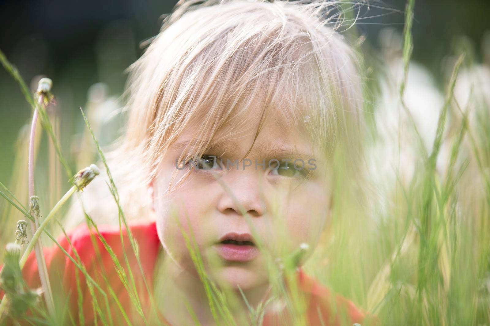 The face of a child in the green grass. Portrait of a kid in nature