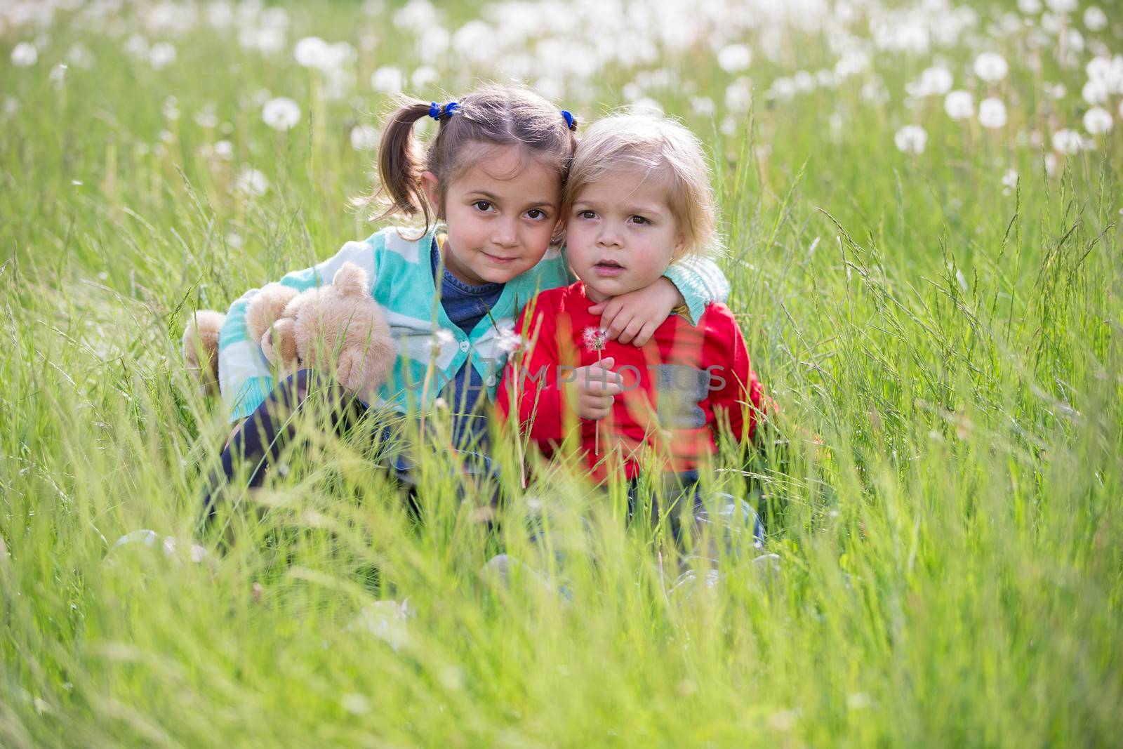 Little brother and sister in the meadow. Children sit on the grass. Friends in a dandelion field by Sviatlana