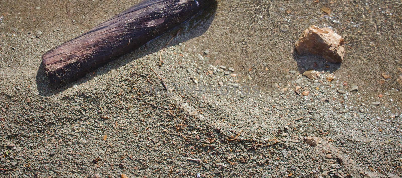 Horizontal banner top-down view of a sandy beach with driftwood and rock