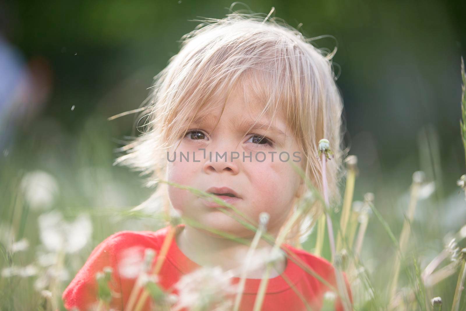 The face of a child in the green grass. Portrait of a kid in nature.Two year old baby in dandelions by Sviatlana