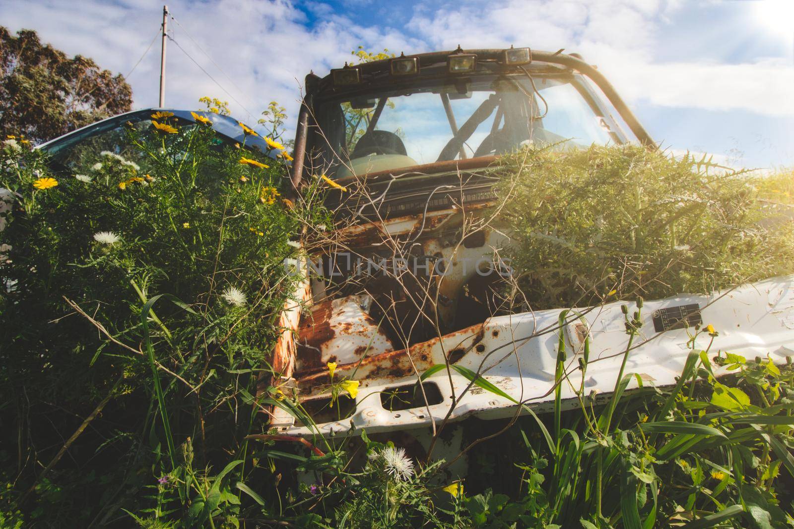 Derelict vehicles left to rust in a field in the countryside