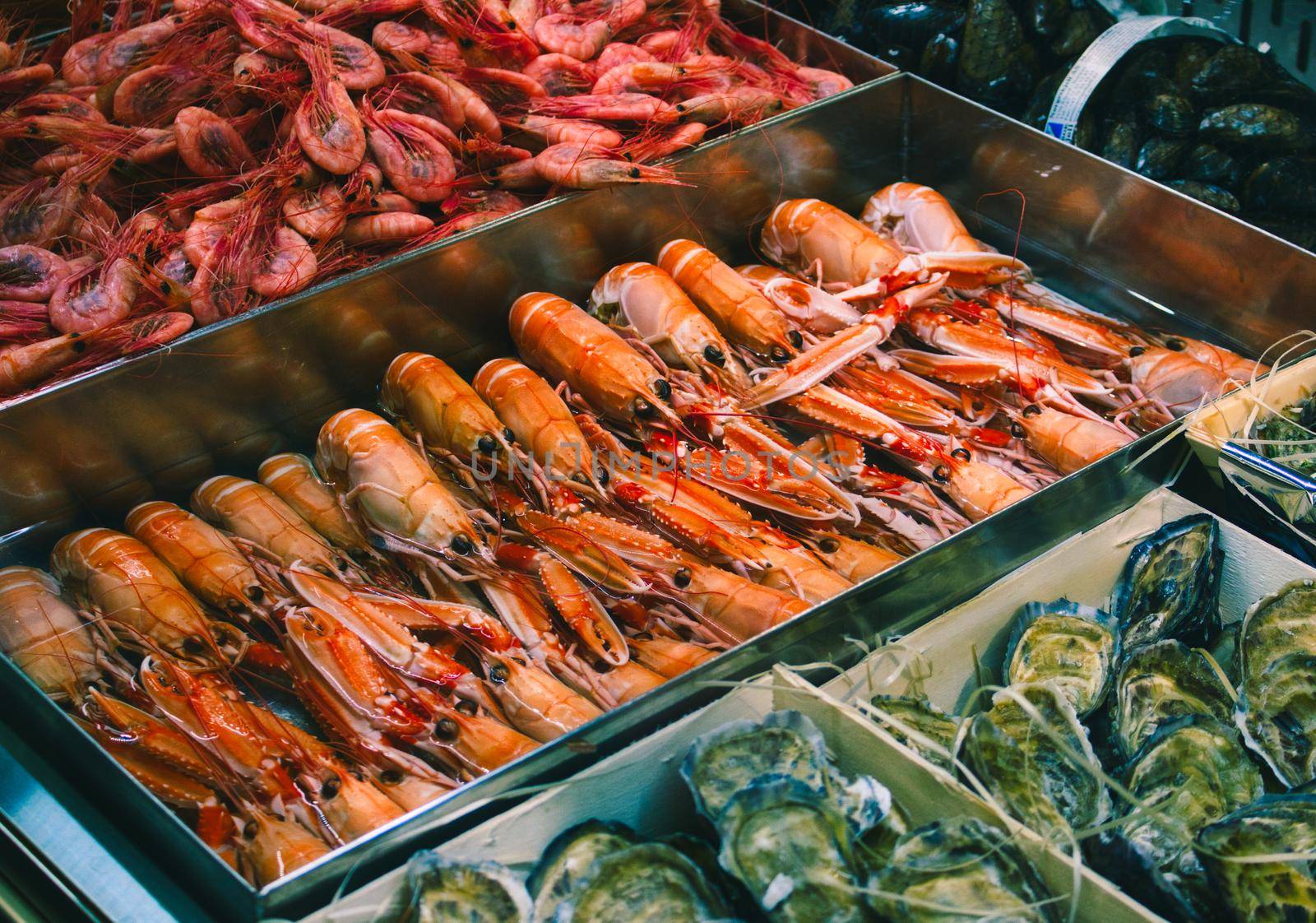 Tray of fresh langoustines at a seafood counter in a supermarket