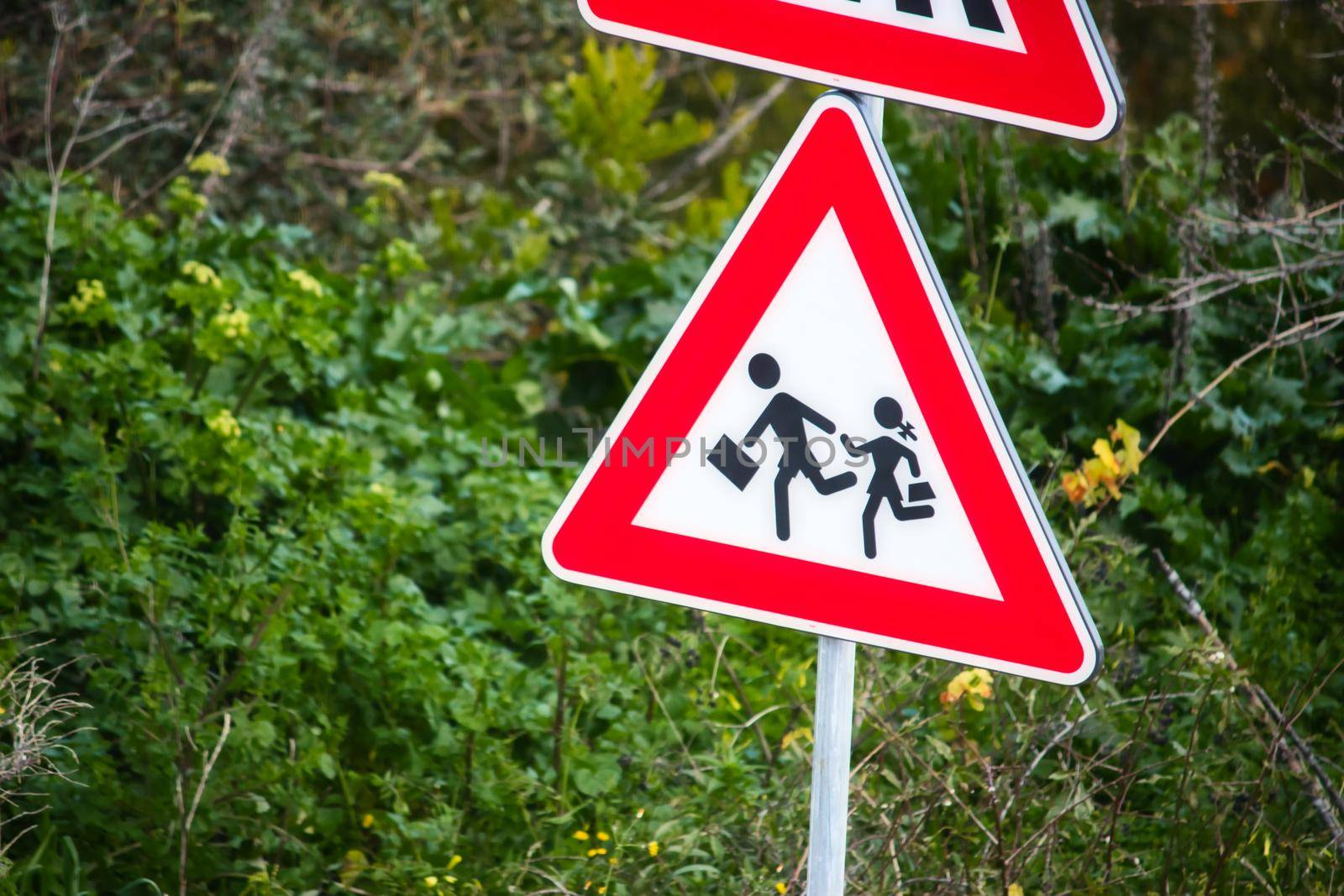 School children crossing sign with trees and plants in the background