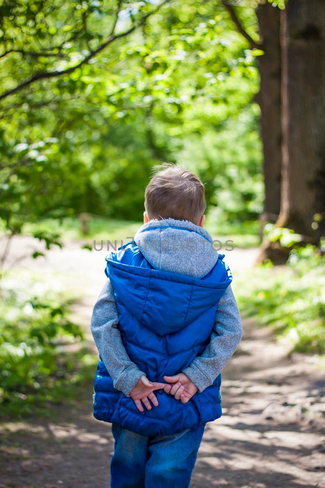 Portrait of a boy in the forest in spring. Take a walk in the green park in the fresh air. The magical light from the sun's rays is left behind. Space for copying. Selective focus. Spring