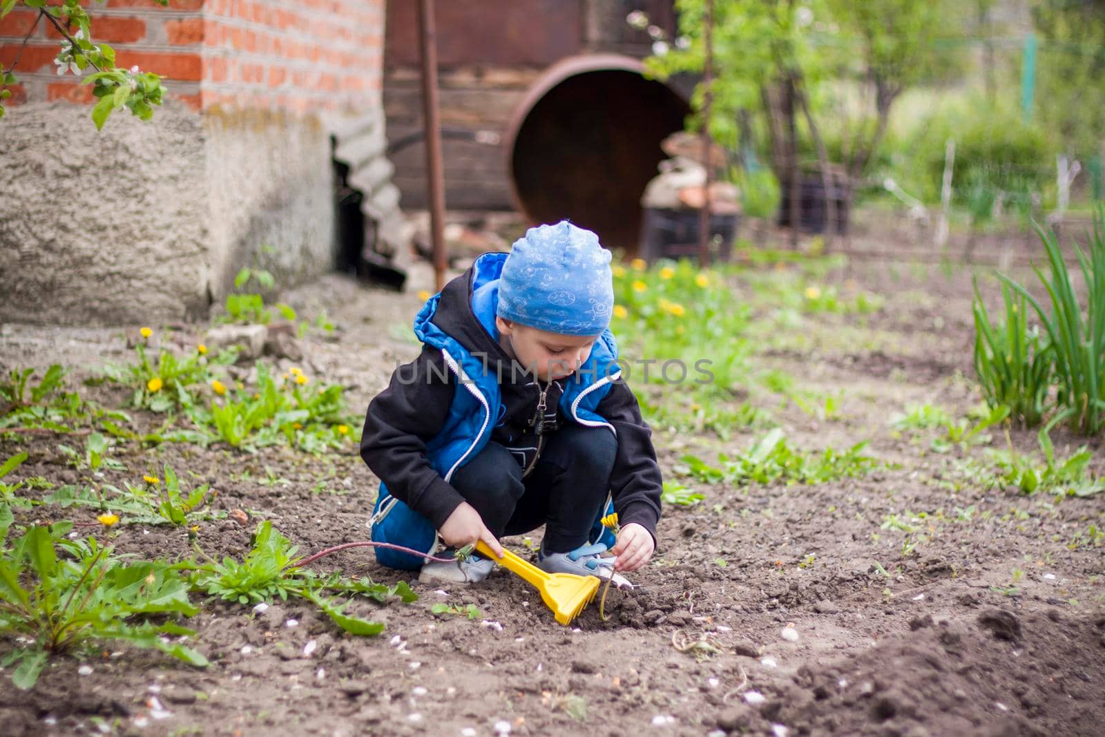 A child is planting a garden. A child's rake in his hands. A little gardener boy is planting plants in a flower bed. Gardening tools in the hands of a child. Garden, vegetable garden, children