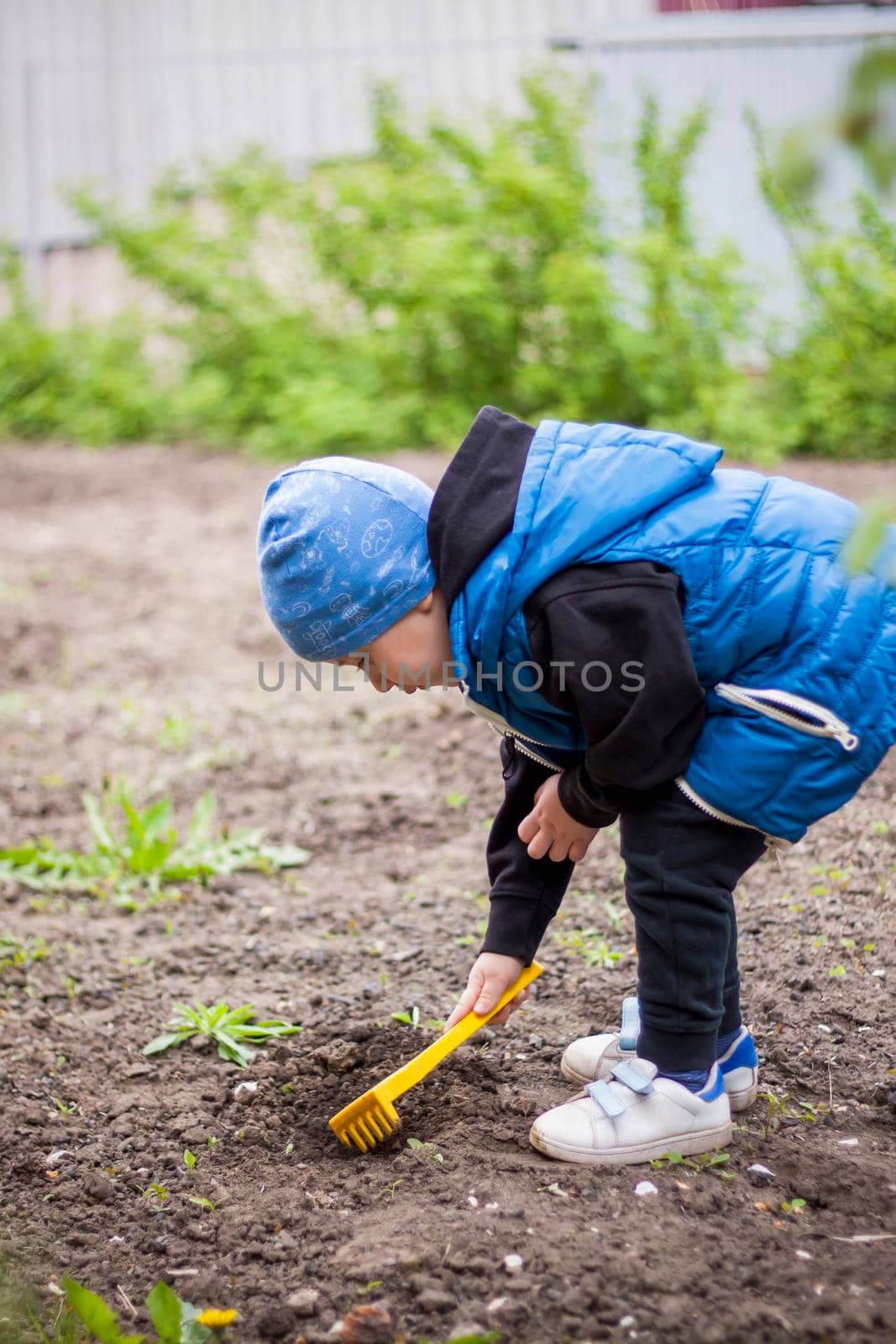 A child is planting a garden. A child's rake in his hands. A little gardener boy is planting plants in a flower bed. Gardening tools in the hands of a child. Garden, vegetable garden, children