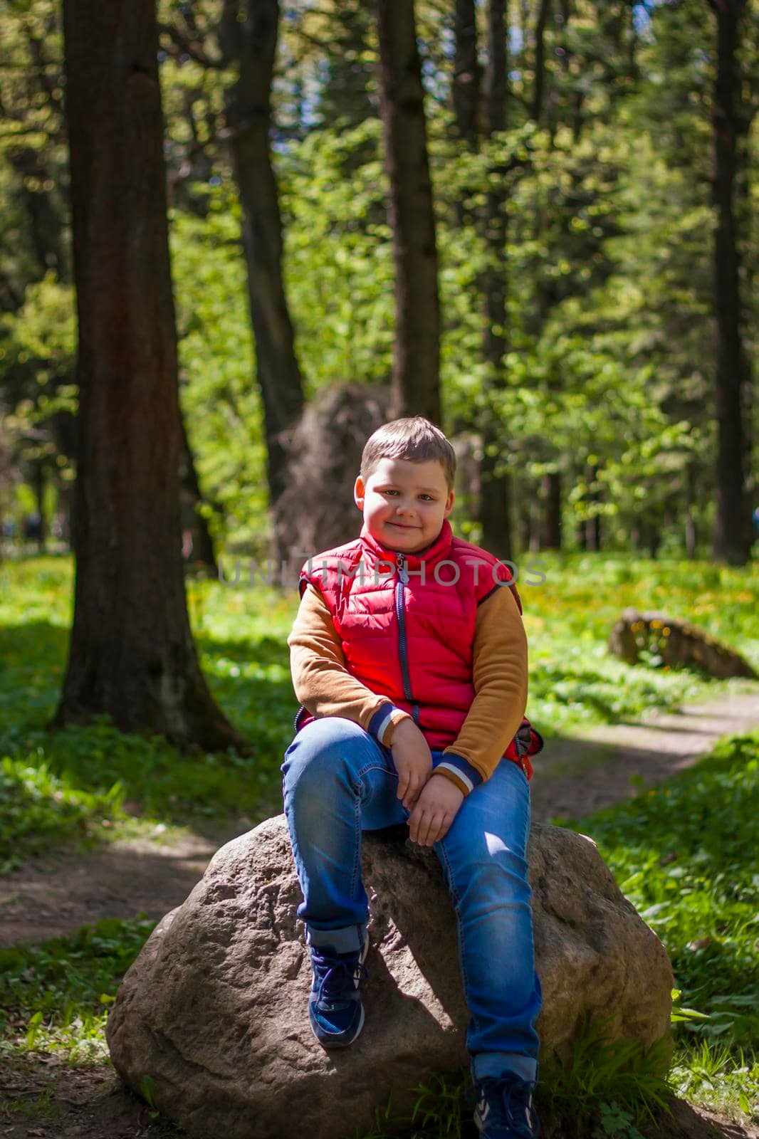 A young man in a sleeveless red jacket is sitting on a huge stone in a pine forest in spring. The magical light from the sun's rays falls behind the boy. Spring