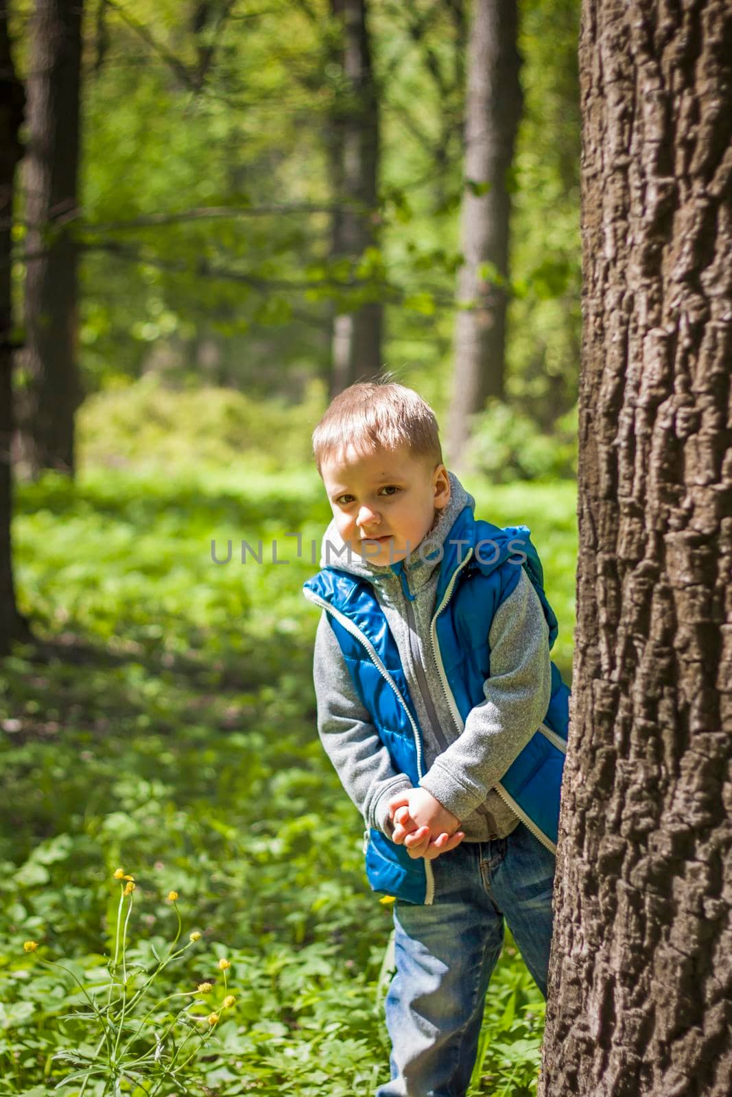 Portrait of a boy in a blue tank top in the woods in spring. Take a walk in the green park in the fresh air. The magical light from the sun's rays falls behind the boy. Spring