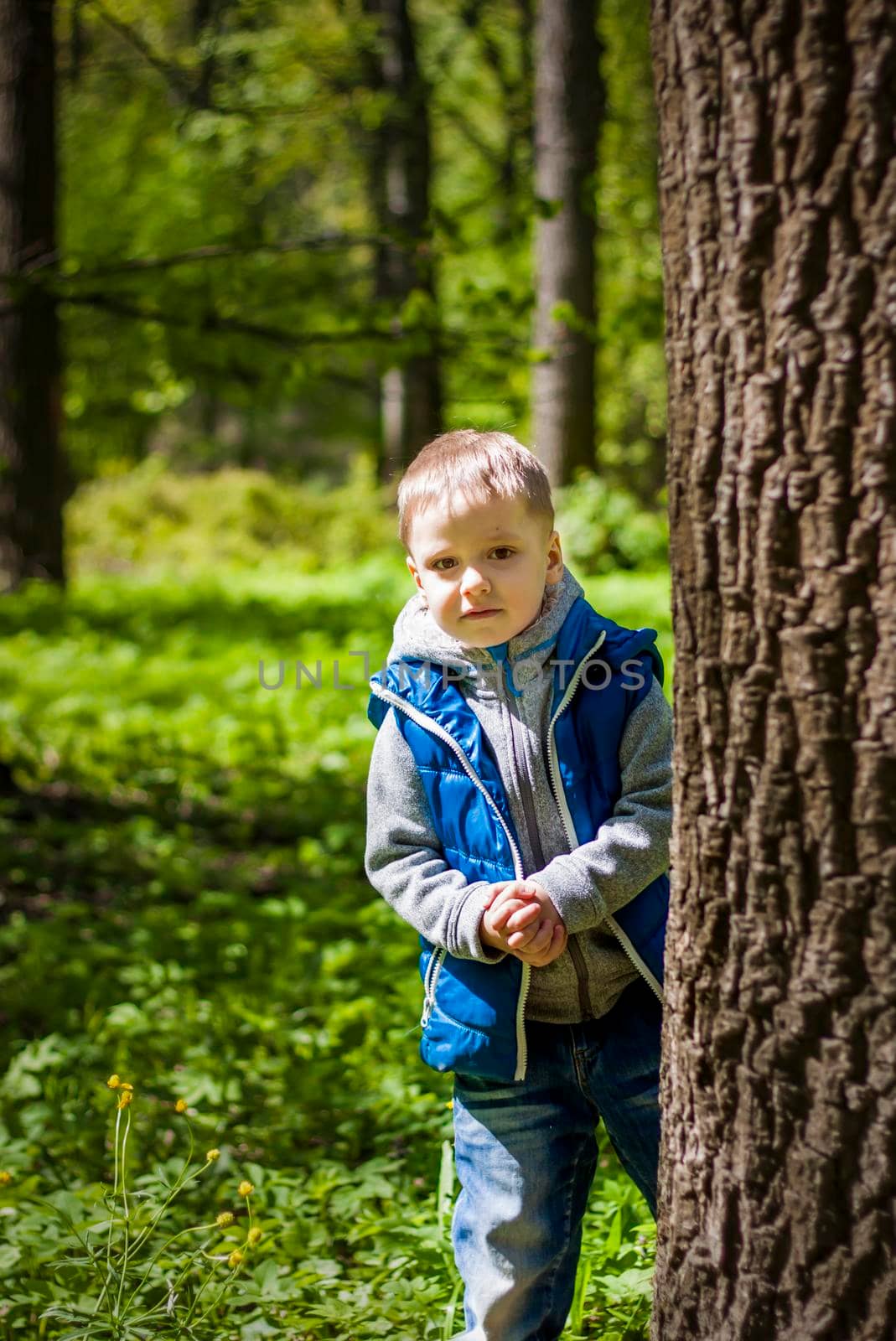 Portrait of a boy in a blue tank top in the woods in spring. Take a walk in the green park in the fresh air. The magical light from the sun's rays falls behind the boy. Spring