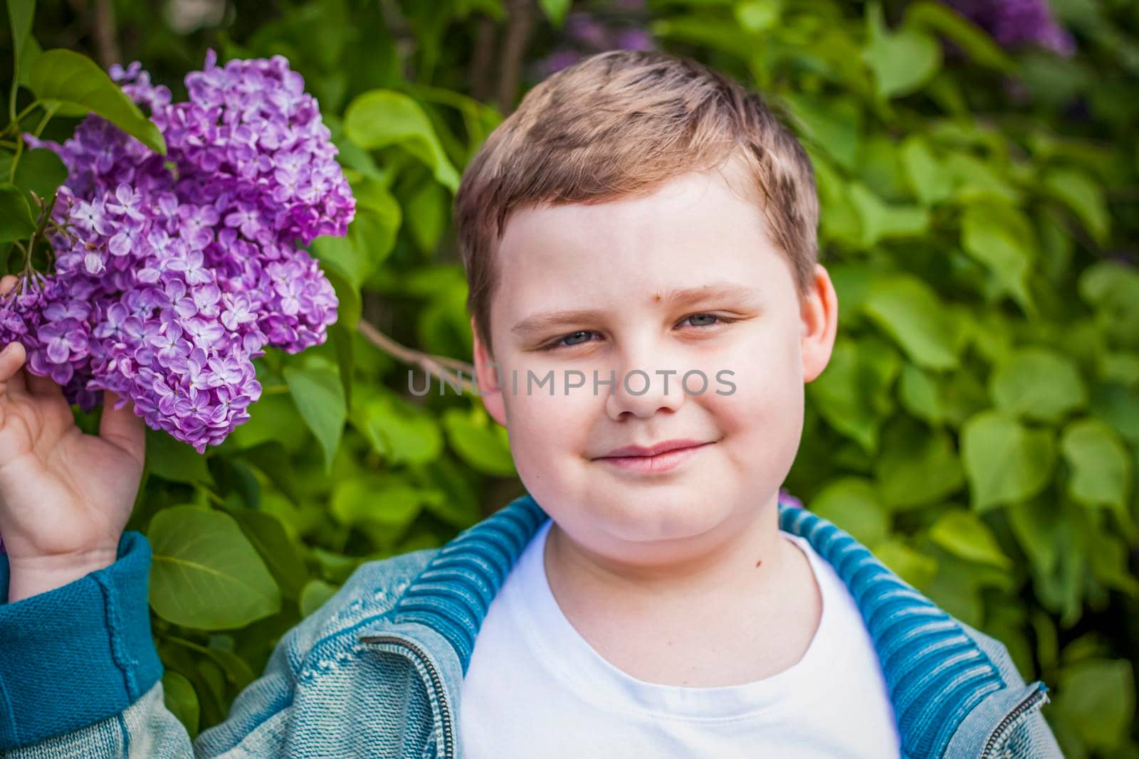 A boy poses near a lush lilac. Portrait of children with an interesting facial expression. Interactions. Selective focus. Spring