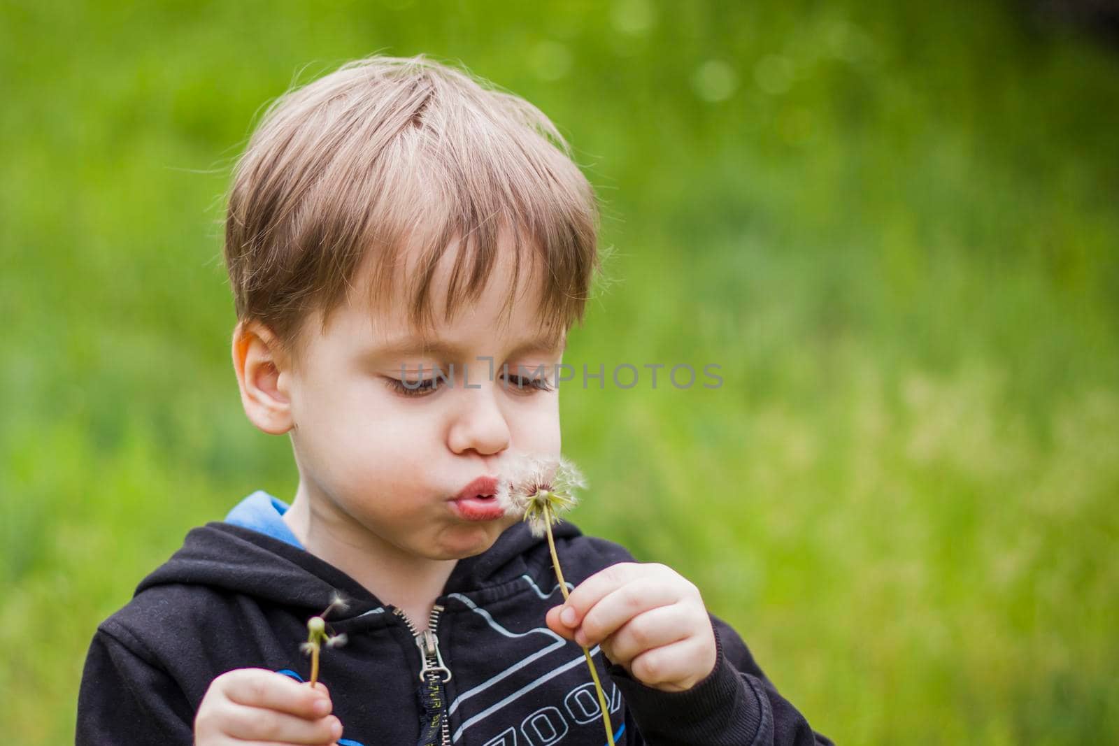 A happy boy on a spring day in the garden blows on white dandelions, fluff flies off him. The concept of outdoor recreation in childhood. Portrait of a cute boy. Funny facial expressions