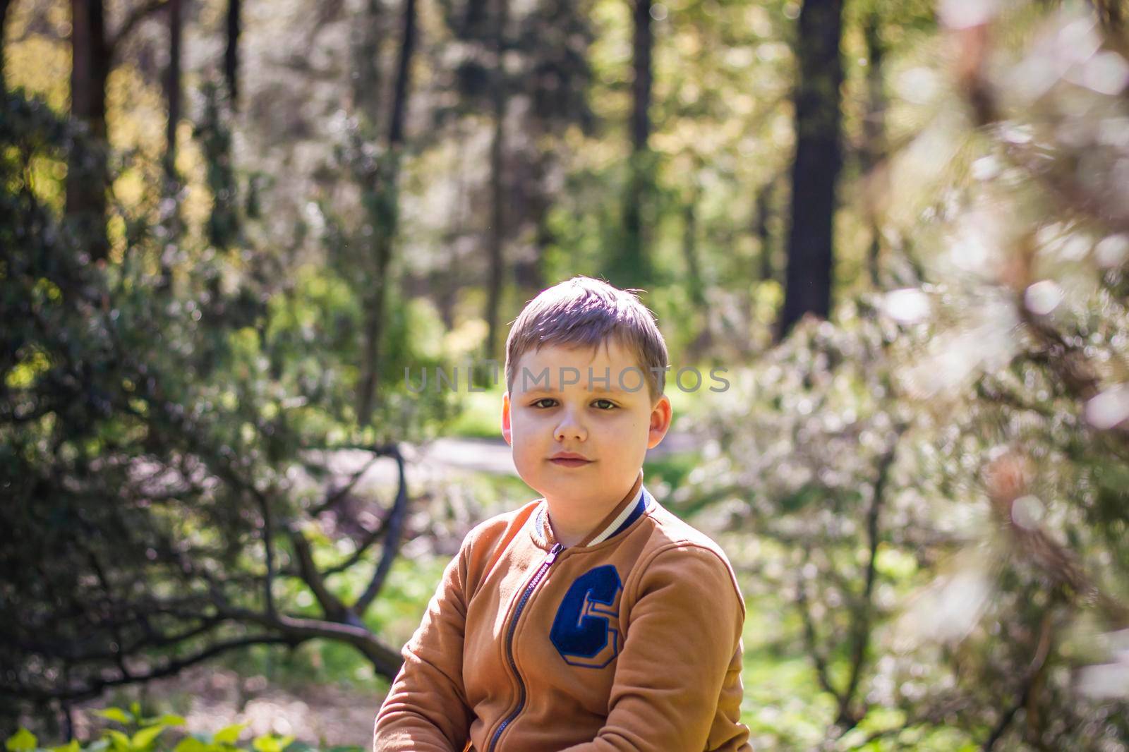 A cute young man is sitting and posing in a clearing in the forest. The sun's rays envelop the space of the clearing with a stump. Space for copying. Selective focus.