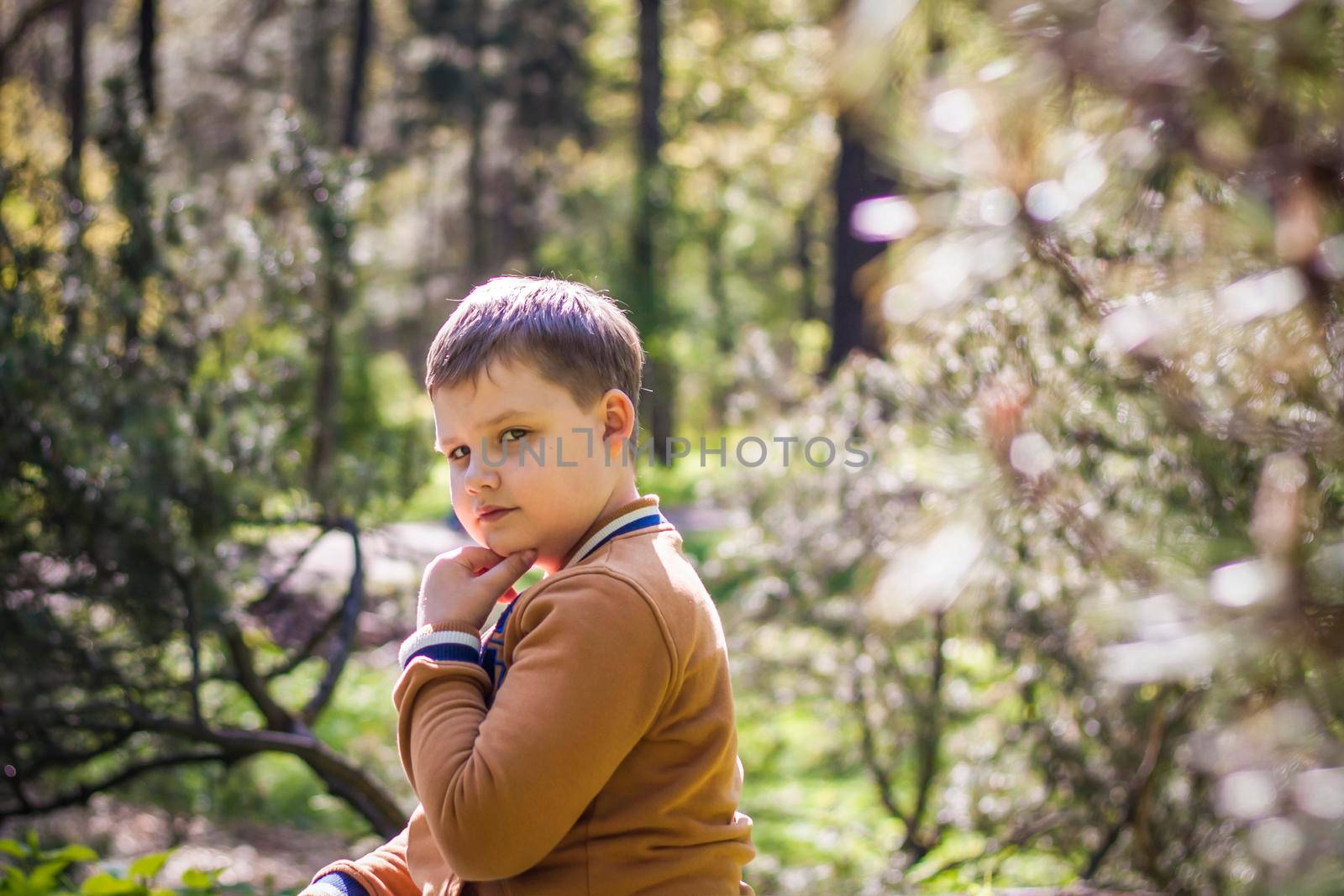 A cute young man is sitting and posing in a clearing in the forest. The sun's rays envelop the space of the clearing with a stump. Space for copying. Selective focus.