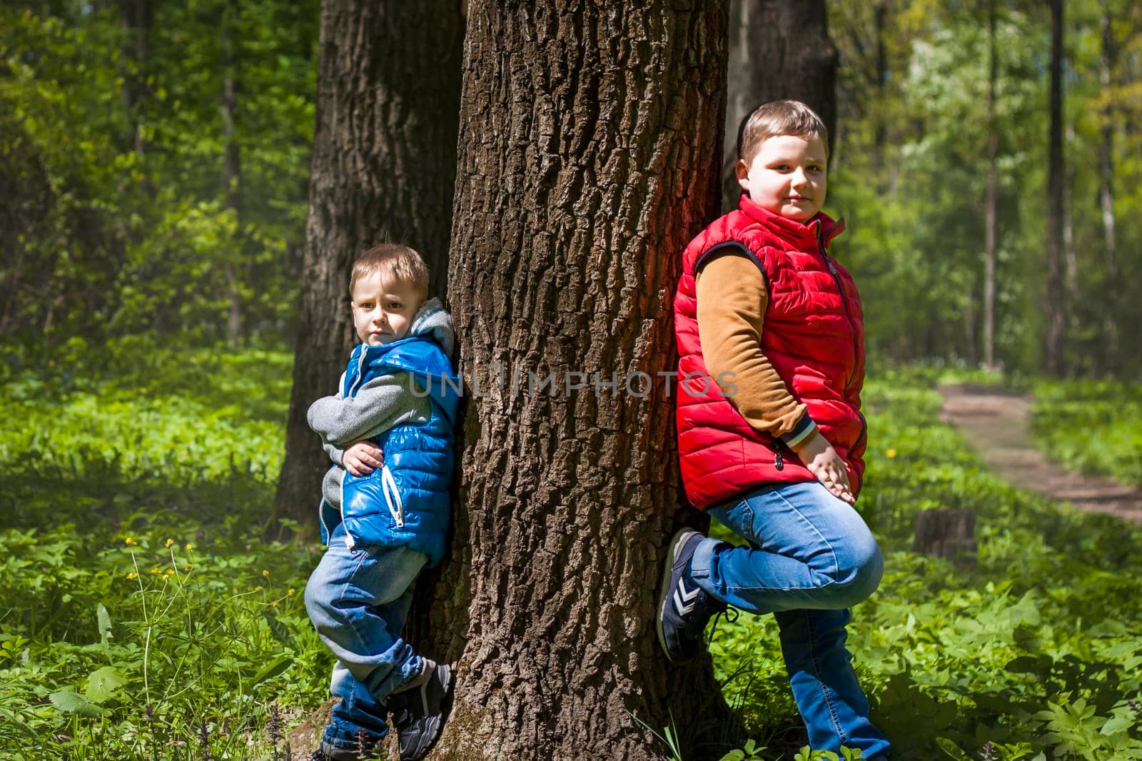 Two brothers in the forest in the spring. Interaction of children. Take a walk in the green park in the fresh air. The magical light from the sun's rays falls behind. Spring