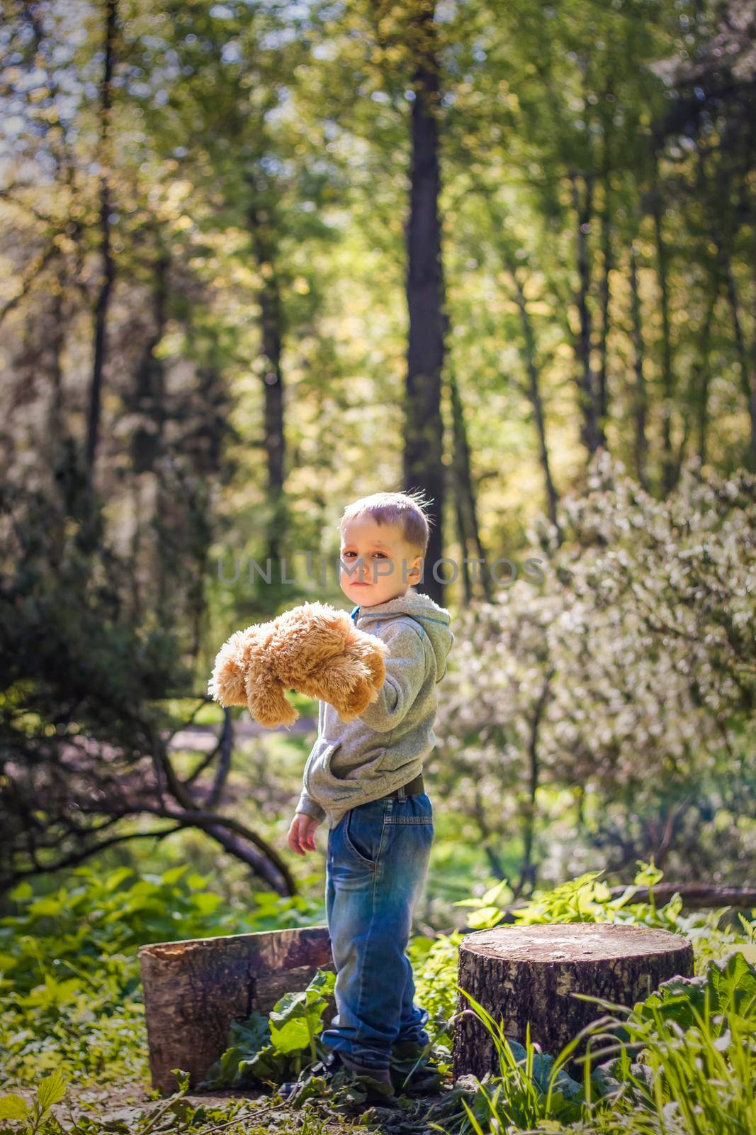 A cute boy is playing with a bear cub in the forest. The sun's rays envelop the space of the clearing with a stump. A magical story of interactions for the book. Space for copying. Selective focus.