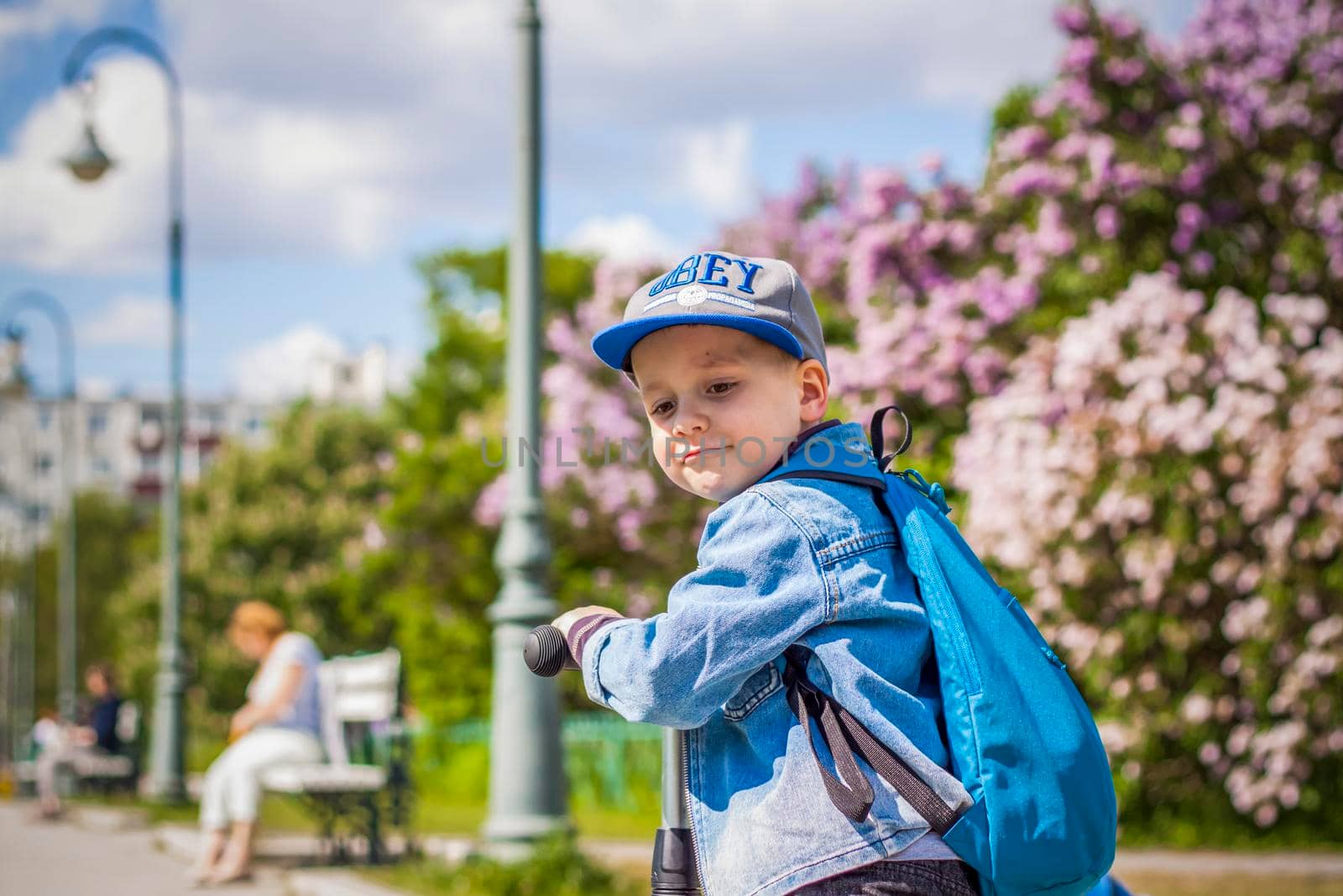 A boy in a baseball cap rides a scooter along a lilac alley .  Against the background of lilac bushes. Interactions. Selective focus. Spring