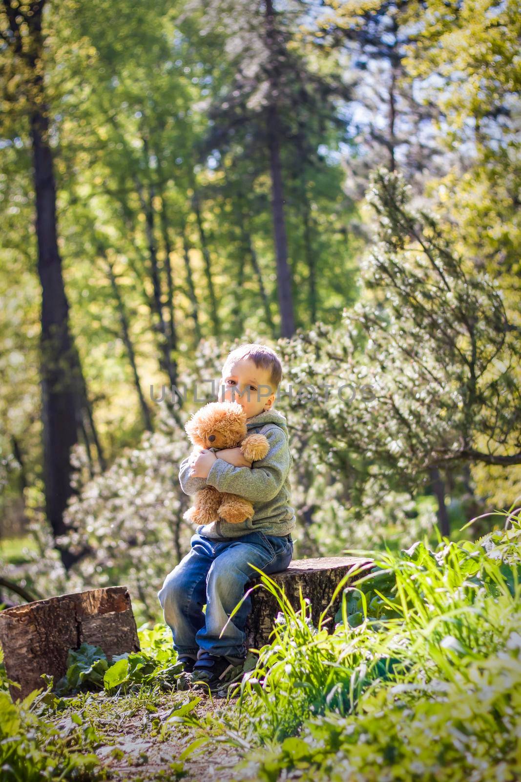 A cute boy is playing with a bear cub in the forest. The sun's rays envelop the space of the clearing with a stump. A magical story of interactions for the book. Space for copying. Selective focus.