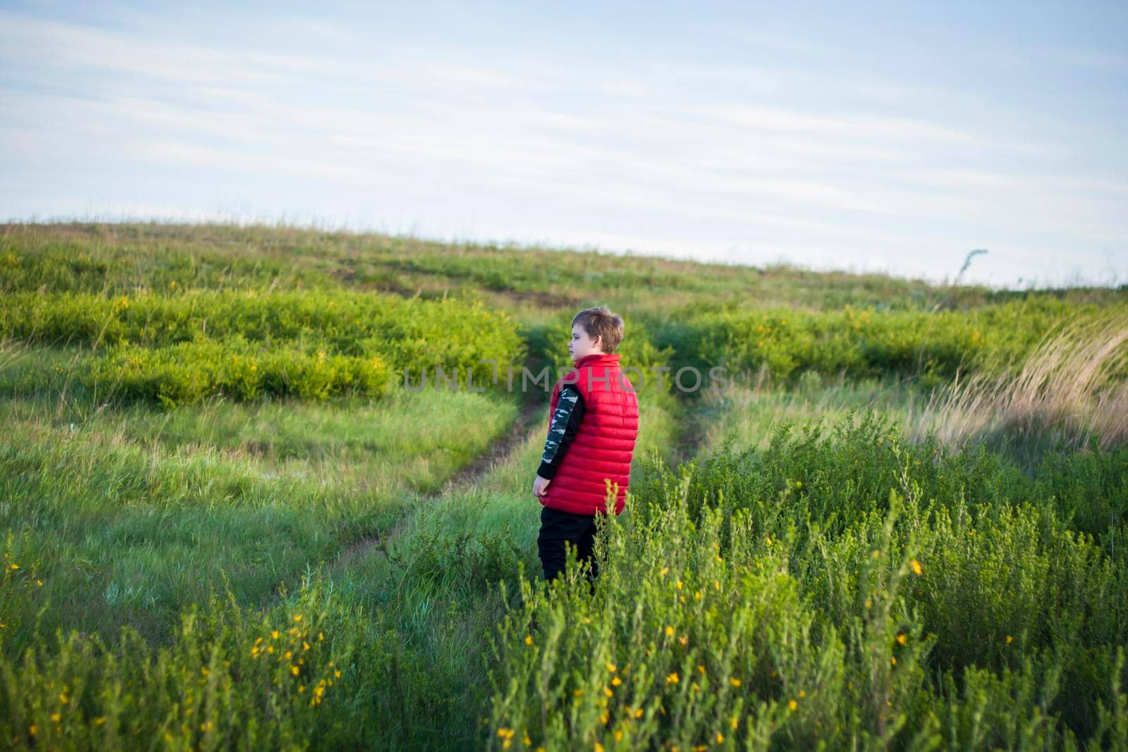 Children in the open spaces of the field are walking among the juicy spring grass in the light of sunset along a narrow trampled path. Landscape, countryside, spring