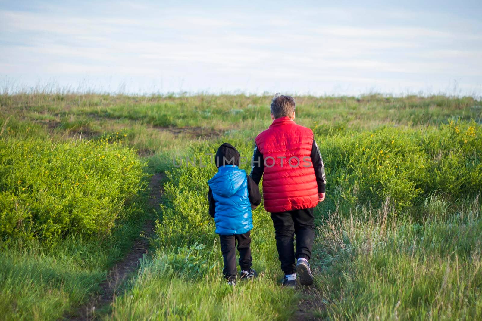 Children in the open spaces of the field are walking among the juicy spring grass in the light of sunset along a narrow trampled path. Landscape, countryside, spring