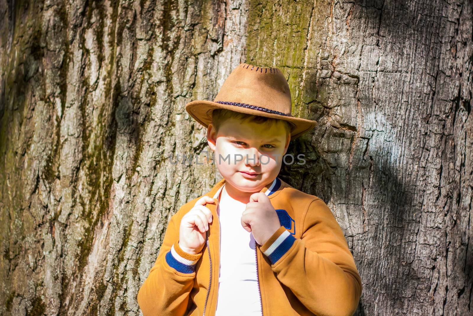 Cute boy posing in a cowboy hat in the woods by a tree. The sun's rays envelop the space. Interaction history for the book. Space for copying. Selective focus.