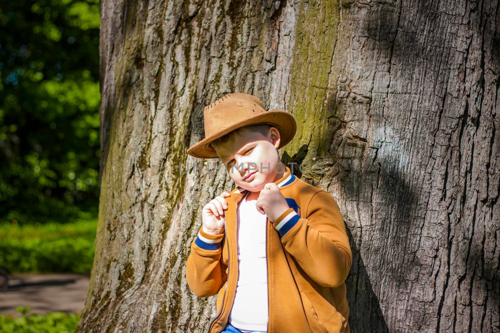 Cute boy posing in a cowboy hat in the woods by a tree. The sun's rays envelop the space. Interaction history for the book. Space for copying. Selective focus.