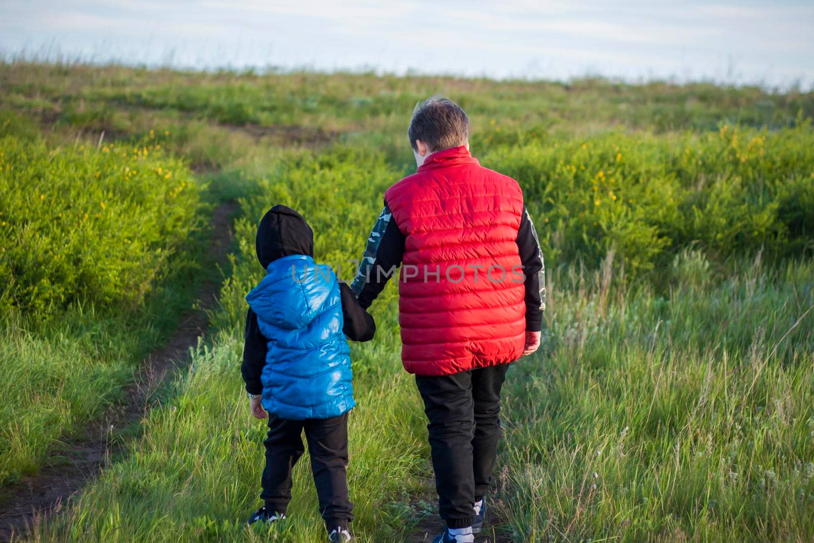 Children in the open spaces of the field are walking among the juicy spring grass in the light of sunset along a narrow trampled path. Landscape, countryside, spring