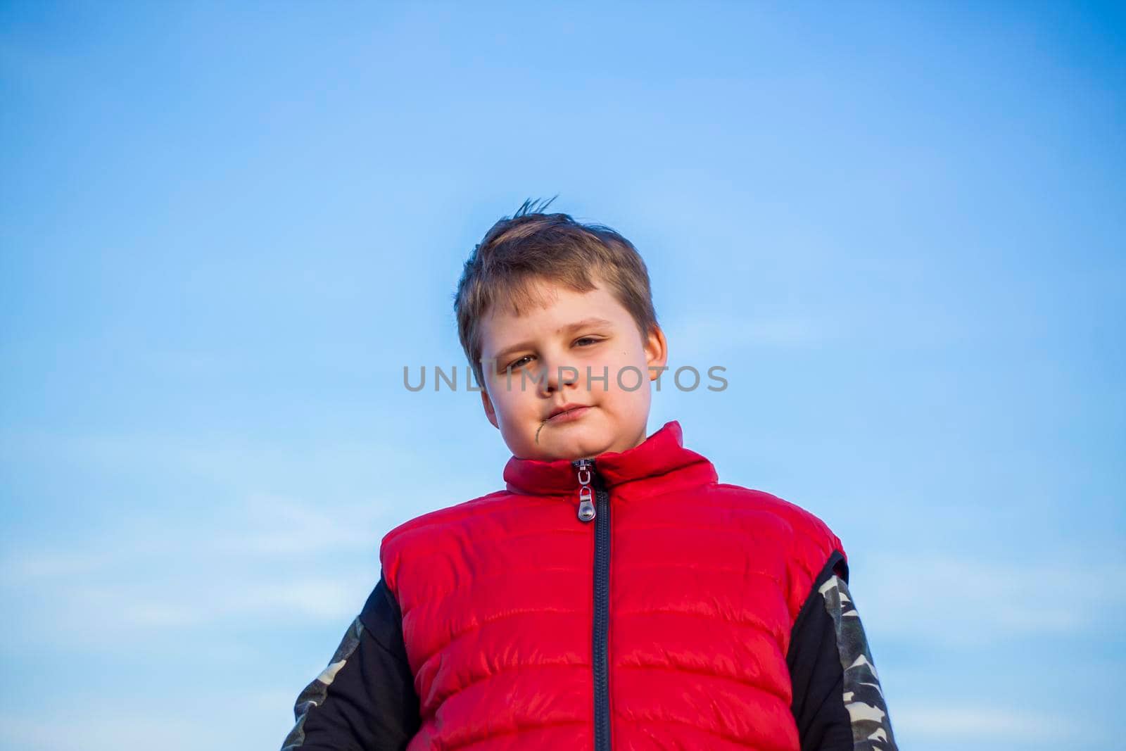 Portrait of a boy against a blue sky. Sight from below. Landscape, countryside, spring