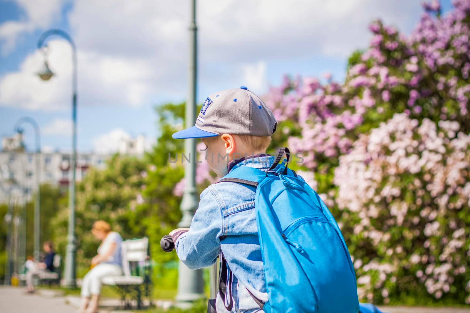 A boy in a baseball cap rides a scooter along a lilac alley .  Against the background of lilac bushes. Interactions. Selective focus. Spring