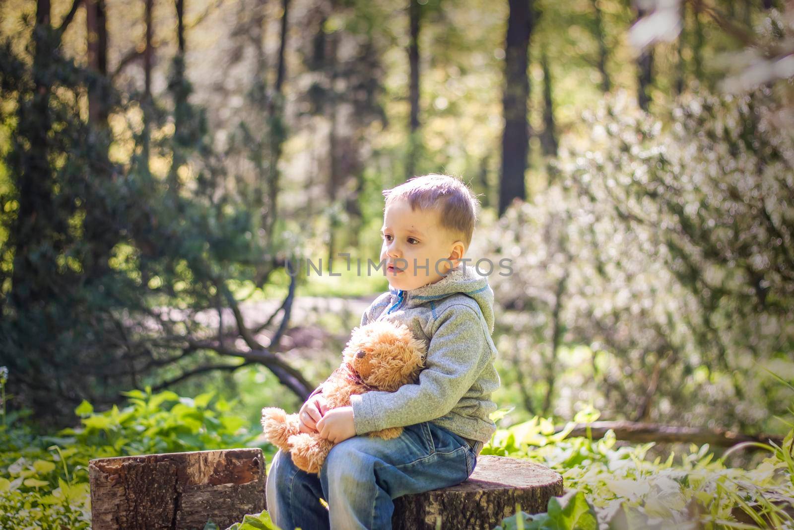 A cute boy is playing with a bear cub in the forest. The sun's rays envelop the space of the clearing with a stump. A magical story of interactions for the book. Space for copying. Selective focus.