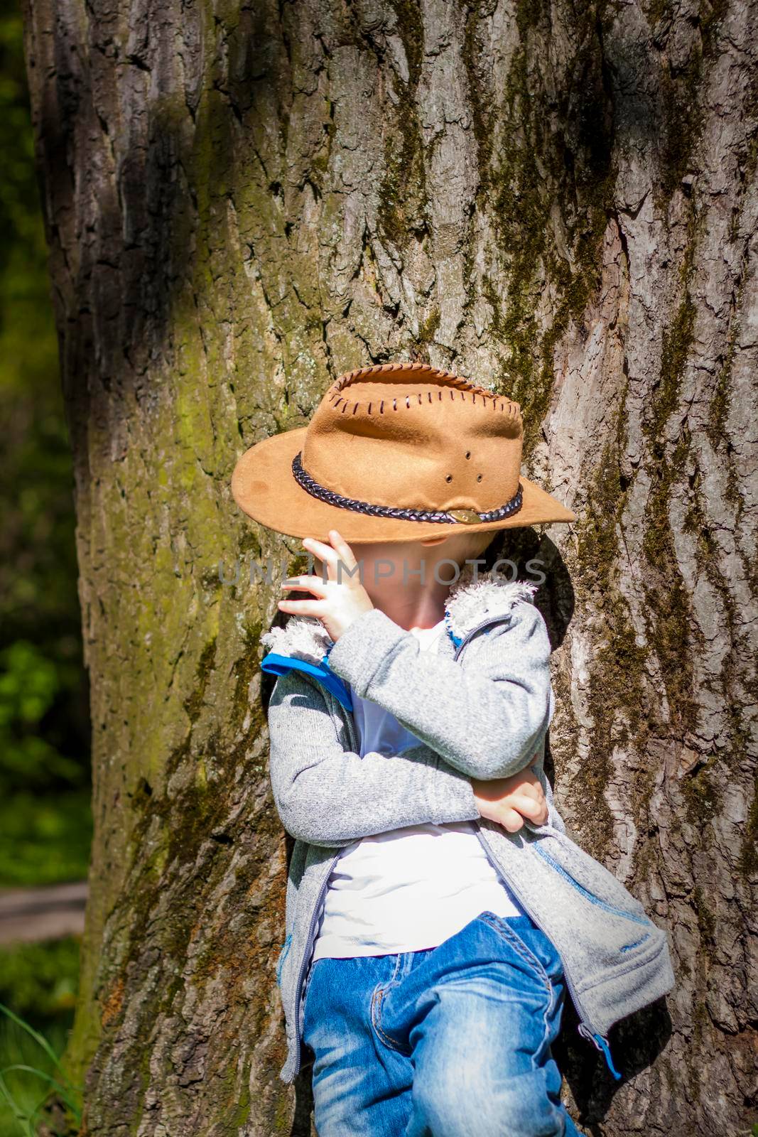 Cute boy posing in a cowboy hat in the woods by a tree. The sun's rays envelop the space. Interaction history for the book. Space for copying. Selective focus.