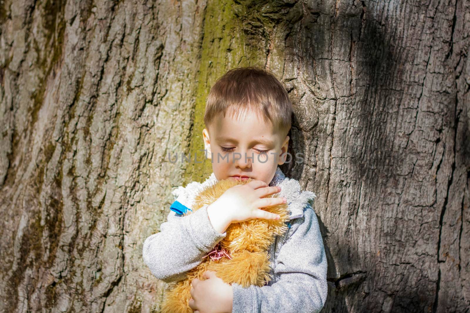 A cute boy is playing with a bear cub in the forest. The sun's rays envelop the space. A magical story of interactions for the book. Space for copying. Selective focus.