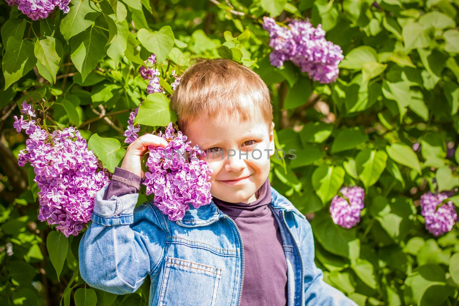 A boy poses near a lush lilac. Portrait of children with an interesting facial expression. Interactions. Selective focus. Spring