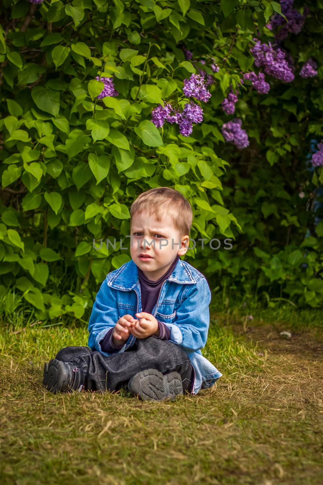 A boy poses near a lush lilac. Portrait of children with an interesting facial expression. Interactions. Selective focus. Spring
