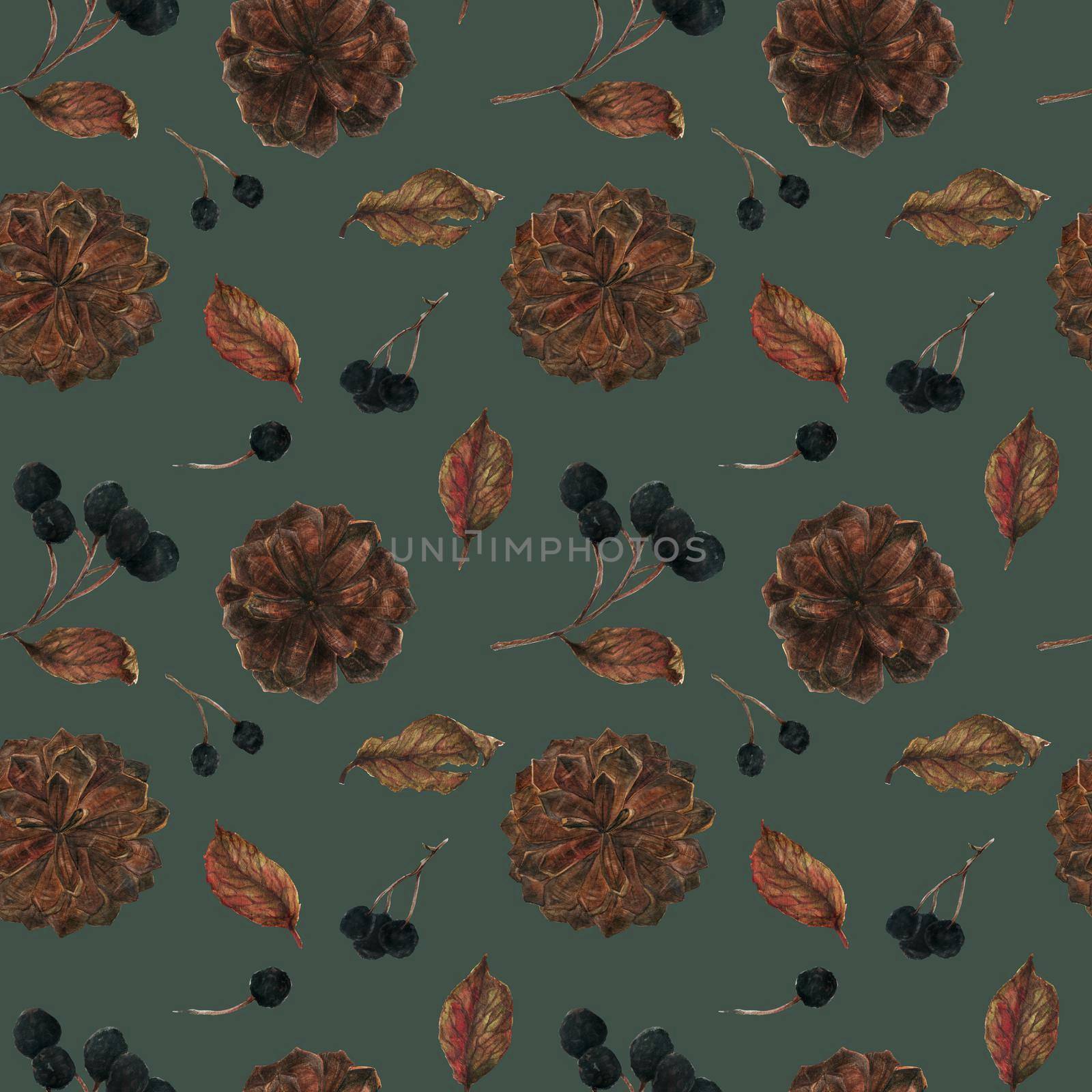Aronia branches and pine cones for Christmas ornament, watercolor dark seamless pattern with clipping path