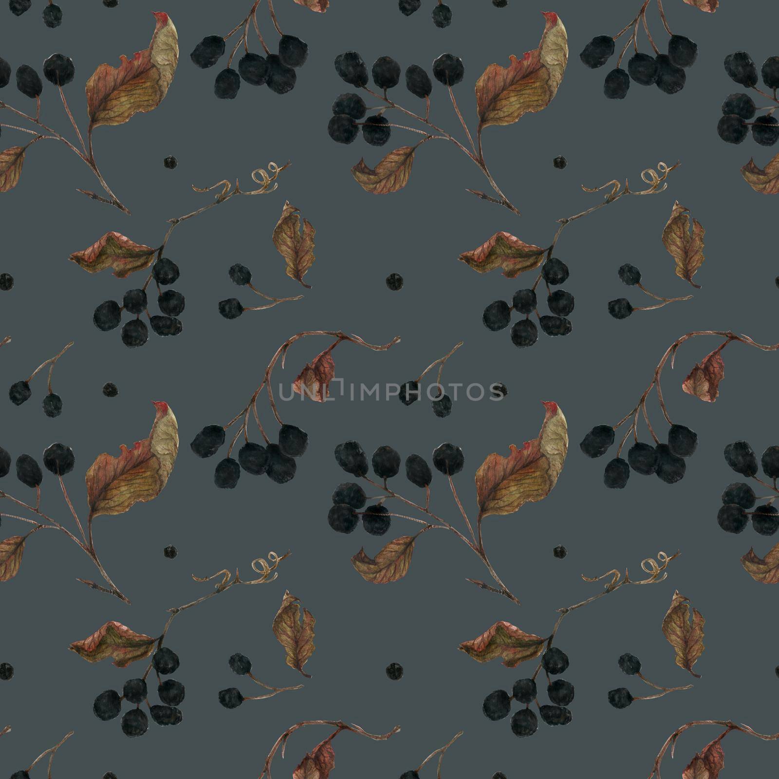 Aronia branches for Christmas ornament. Dried berries and leaves, watercolor dark seamless pattern with clipping path