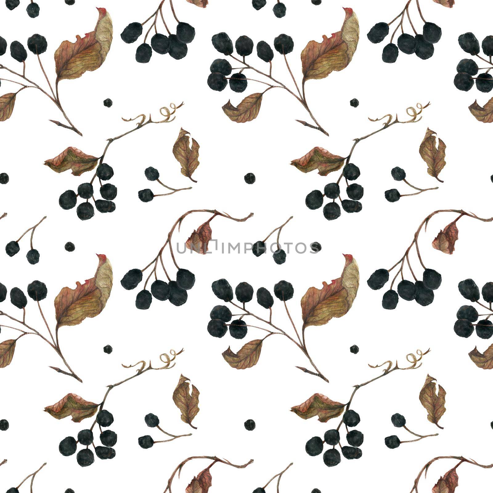Aronia branches for Christmas ornament. Dried berries and leaves, watercolor white seamless pattern with clipping path